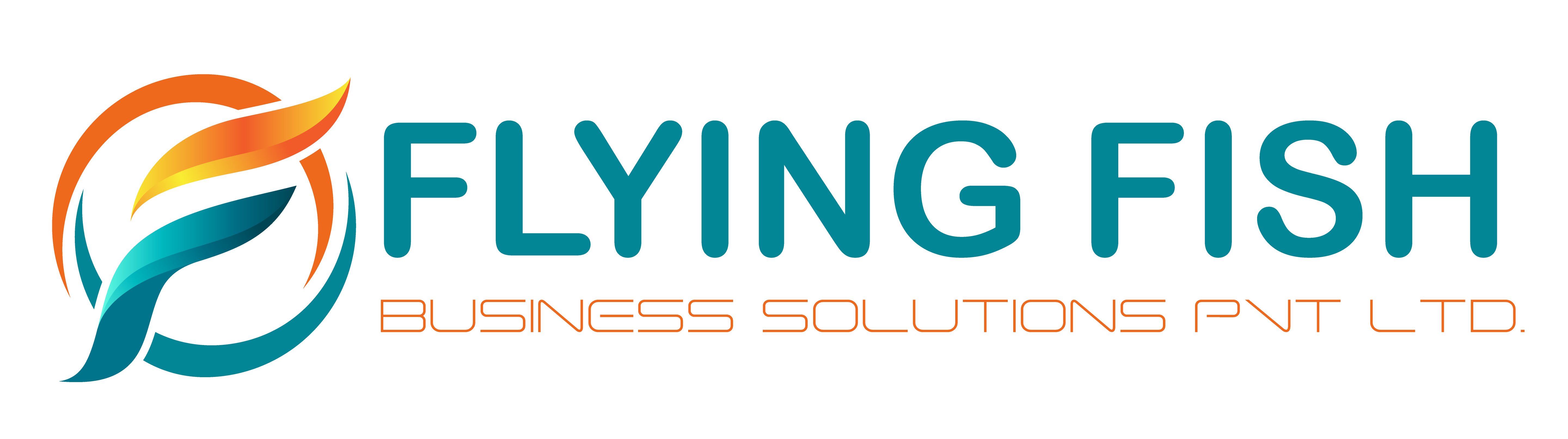 Flying Fish Solutions